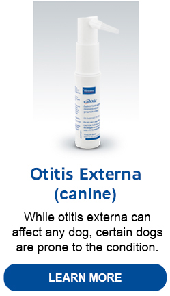 Virbac dog ear cleaner deals